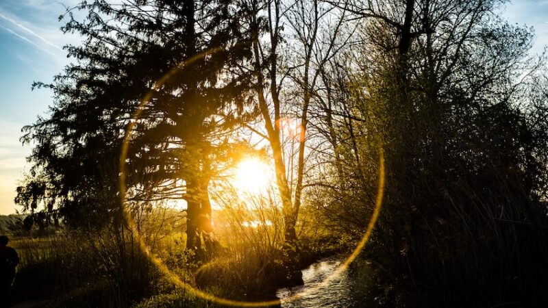 Lokala konstnärer som satt Sunne på kulturkartan – upptäck Alma Löv Museum