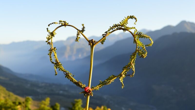 Naturresor i Norden – när vardagen kräver paus